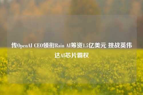 传OpenAI CEO领衔Rain AI筹资1.5亿美元 挑战英伟达AI芯片霸权-第1张图片-十倍杠杆-股票杠杆