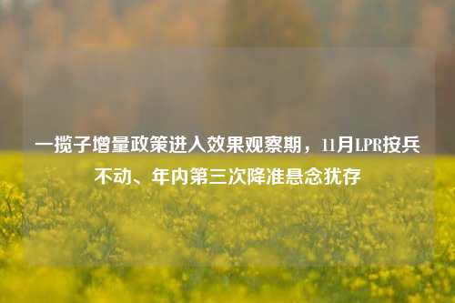 一揽子增量政策进入效果观察期，11月LPR按兵不动、年内第三次降准悬念犹存-第1张图片-十倍杠杆-股票杠杆