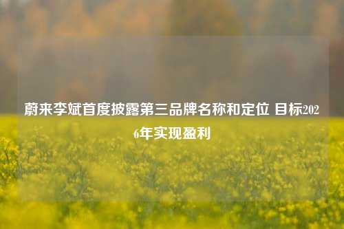 蔚来李斌首度披露第三品牌名称和定位 目标2026年实现盈利-第1张图片-十倍杠杆-股票杠杆