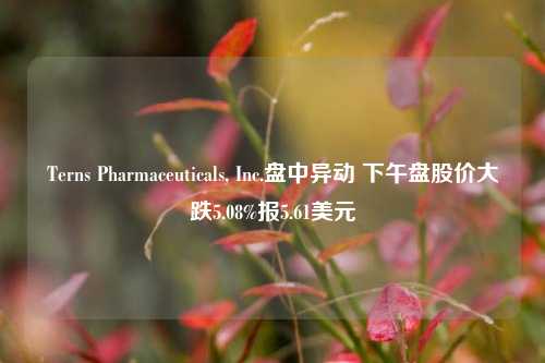 Terns Pharmaceuticals, Inc.盘中异动 下午盘股价大跌5.08%报5.61美元-第1张图片-十倍杠杆-股票杠杆