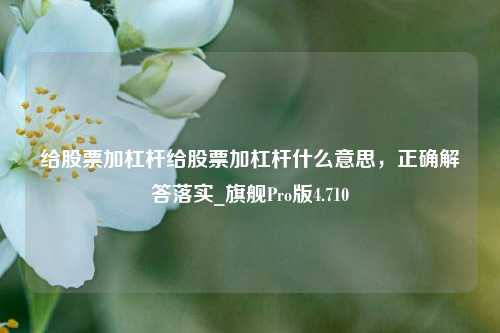 给股票加杠杆给股票加杠杆什么意思，正确解答落实_旗舰Pro版4.710-第1张图片-十倍杠杆-股票杠杆