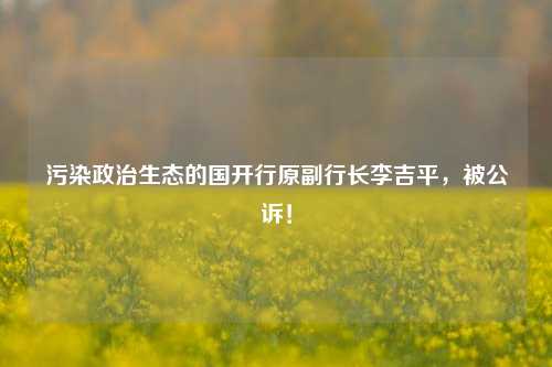 污染政治生态的国开行原副行长李吉平，被公诉！-第1张图片-十倍杠杆-股票杠杆