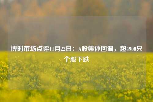 博时市场点评11月22日：A股集体回调，超4900只个股下跌-第1张图片-十倍杠杆-股票杠杆