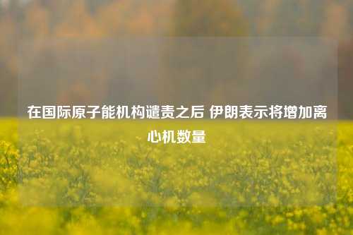 在国际原子能机构谴责之后 伊朗表示将增加离心机数量-第1张图片-十倍杠杆-股票杠杆