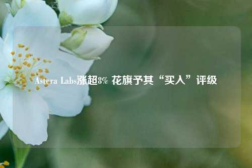 Astera Labs涨超8% 花旗予其“买入”评级-第1张图片-十倍杠杆-股票杠杆