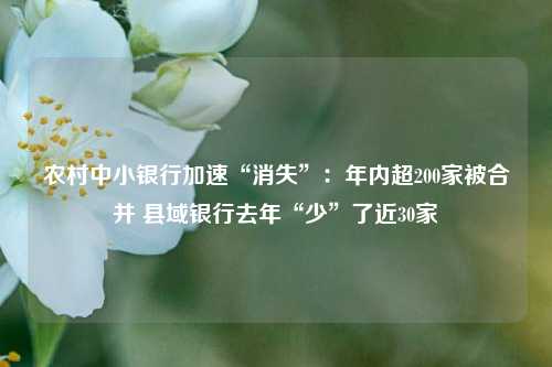 农村中小银行加速“消失”：年内超200家被合并 县域银行去年“少”了近30家-第1张图片-十倍杠杆-股票杠杆