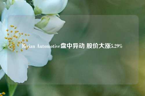 Rivian Automotive盘中异动 股价大涨5.29%-第1张图片-十倍杠杆-股票杠杆