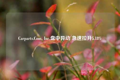 Carparts.Com, Inc.盘中异动 急速拉升5.18%-第1张图片-十倍杠杆-股票杠杆