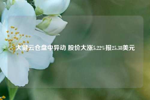 大健云仓盘中异动 股价大涨5.22%报25.38美元-第1张图片-十倍杠杆-股票杠杆