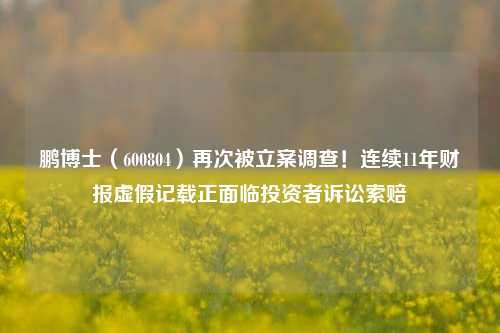 鹏博士（600804）再次被立案调查！连续11年财报虚假记载正面临投资者诉讼索赔-第1张图片-十倍杠杆-股票杠杆