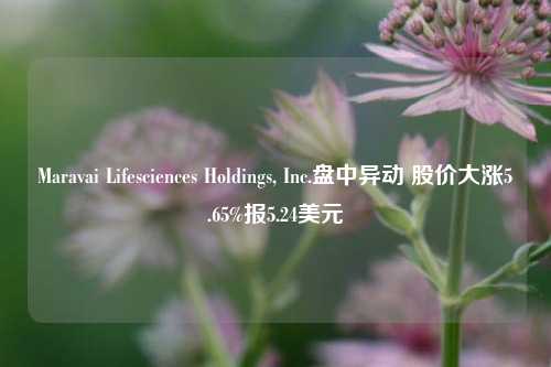 Maravai Lifesciences Holdings, Inc.盘中异动 股价大涨5.65%报5.24美元-第1张图片-十倍杠杆-股票杠杆