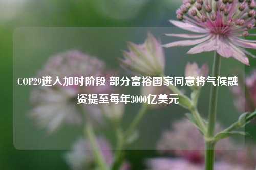 COP29进入加时阶段 部分富裕国家同意将气候融资提至每年3000亿美元-第1张图片-十倍杠杆-股票杠杆