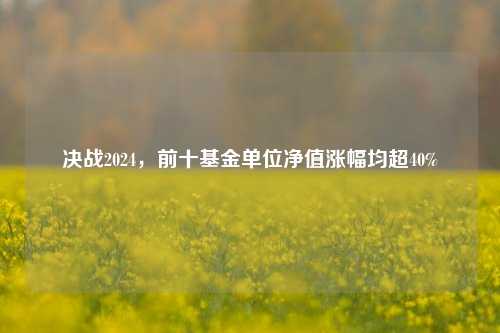 决战2024，前十基金单位净值涨幅均超40%-第1张图片-十倍杠杆-股票杠杆