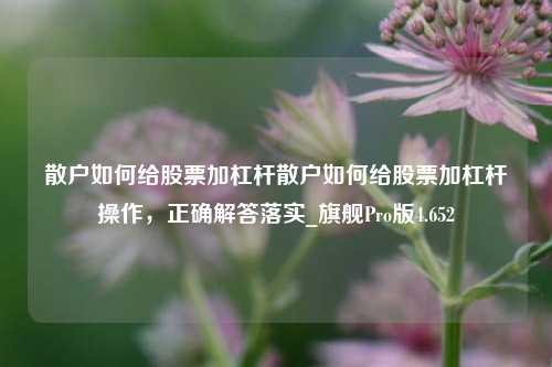 散户如何给股票加杠杆散户如何给股票加杠杆操作，正确解答落实_旗舰Pro版4.652-第1张图片-十倍杠杆-股票杠杆