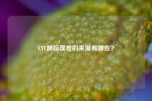 ETF跟踪误差的来源有哪些？-第1张图片-十倍杠杆-股票杠杆