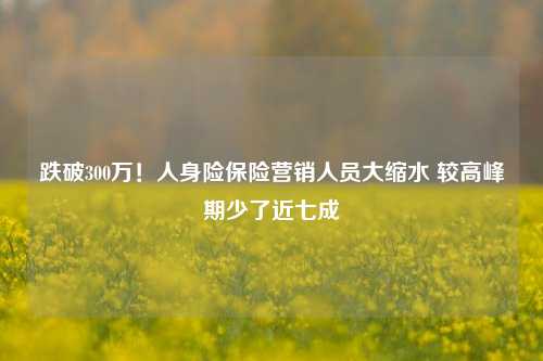 跌破300万！人身险保险营销人员大缩水 较高峰期少了近七成-第1张图片-十倍杠杆-股票杠杆