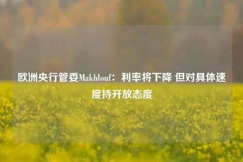 欧洲央行管委Makhlouf：利率将下降 但对具体速度持开放态度-第1张图片-十倍杠杆-股票杠杆