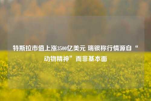 特斯拉市值上涨3500亿美元 瑞银称行情源自“动物精神”而非基本面-第1张图片-十倍杠杆-股票杠杆