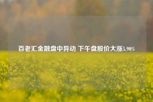 百老汇金融盘中异动 下午盘股价大涨5.90%-第1张图片-十倍杠杆-股票杠杆