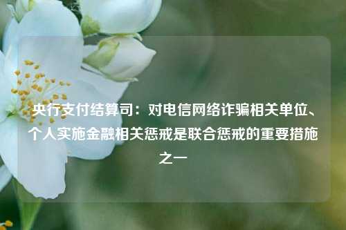 央行支付结算司：对电信网络诈骗相关单位、个人实施金融相关惩戒是联合惩戒的重要措施之一-第1张图片-十倍杠杆-股票杠杆