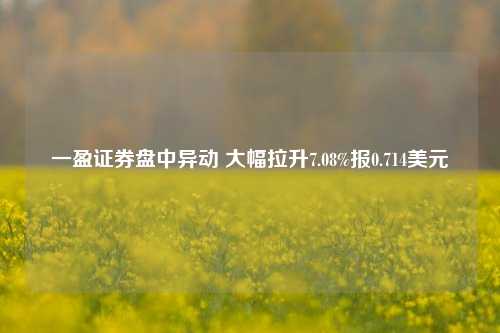 一盈证券盘中异动 大幅拉升7.08%报0.714美元-第1张图片-十倍杠杆-股票杠杆