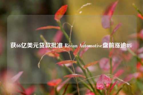 获66亿美元贷款批准 Rivian Automotive盘前涨逾8%-第1张图片-十倍杠杆-股票杠杆