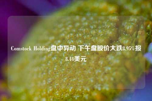 Comstock Holding盘中异动 下午盘股价大跌8.95%报8.44美元-第1张图片-十倍杠杆-股票杠杆