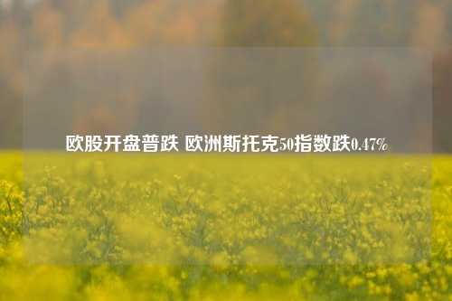 欧股开盘普跌 欧洲斯托克50指数跌0.47%-第1张图片-十倍杠杆-股票杠杆