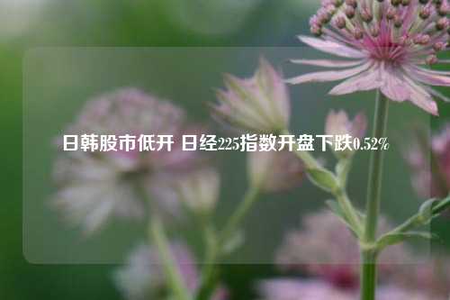 日韩股市低开 日经225指数开盘下跌0.52%-第1张图片-十倍杠杆-股票杠杆