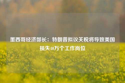 墨西哥经济部长：特朗普拟议关税将导致美国损失40万个工作岗位-第1张图片-十倍杠杆-股票杠杆