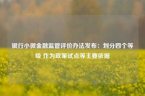 银行小微金融监管评价办法发布：划分四个等级 作为政策试点等主要依据-第1张图片-十倍杠杆-股票杠杆