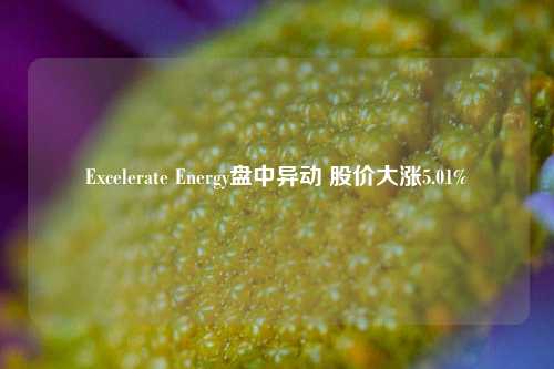 Excelerate Energy盘中异动 股价大涨5.01%-第1张图片-十倍杠杆-股票杠杆