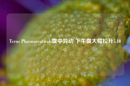 Terns Pharmaceuticals盘中异动 下午盘大幅拉升5.10%-第1张图片-十倍杠杆-股票杠杆