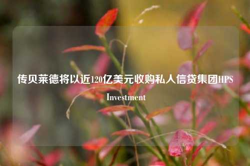 传贝莱德将以近120亿美元收购私人信贷集团HPS Investment-第1张图片-十倍杠杆-股票杠杆