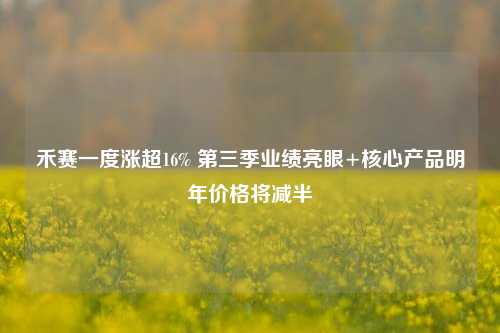 禾赛一度涨超16% 第三季业绩亮眼+核心产品明年价格将减半-第1张图片-十倍杠杆-股票杠杆