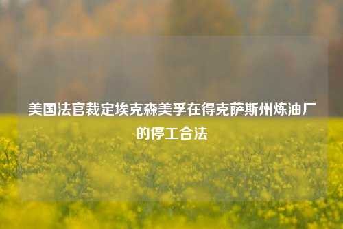 美国法官裁定埃克森美孚在得克萨斯州炼油厂的停工合法-第1张图片-十倍杠杆-股票杠杆