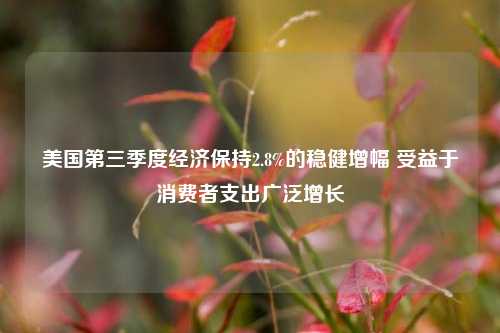 美国第三季度经济保持2.8%的稳健增幅 受益于消费者支出广泛增长-第1张图片-十倍杠杆-股票杠杆