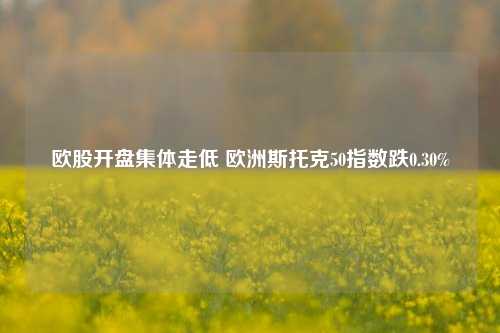 欧股开盘集体走低 欧洲斯托克50指数跌0.30%-第1张图片-十倍杠杆-股票杠杆