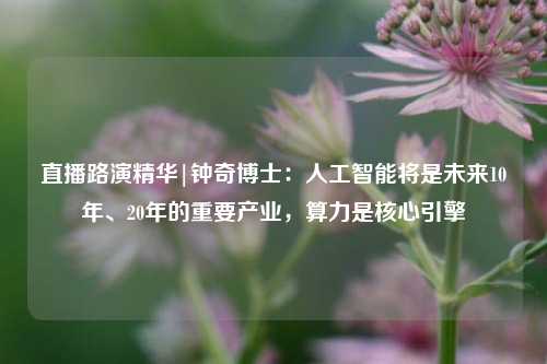 直播路演精华|钟奇博士：人工智能将是未来10年、20年的重要产业，算力是核心引擎-第1张图片-十倍杠杆-股票杠杆