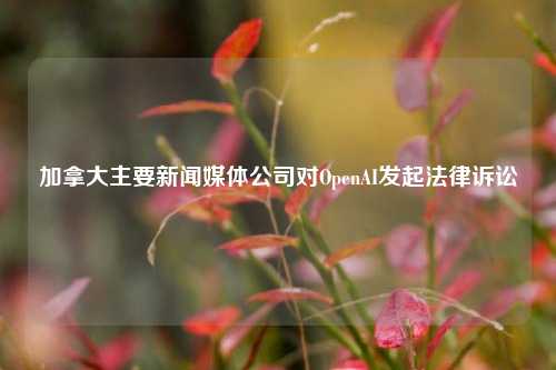 加拿大主要新闻媒体公司对OpenAI发起法律诉讼-第1张图片-十倍杠杆-股票杠杆