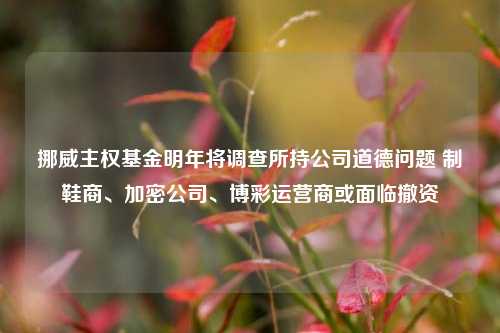 挪威主权基金明年将调查所持公司道德问题 制鞋商、加密公司、博彩运营商或面临撤资-第1张图片-十倍杠杆-股票杠杆