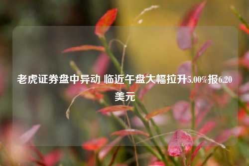 老虎证券盘中异动 临近午盘大幅拉升5.00%报6.20美元-第1张图片-十倍杠杆-股票杠杆