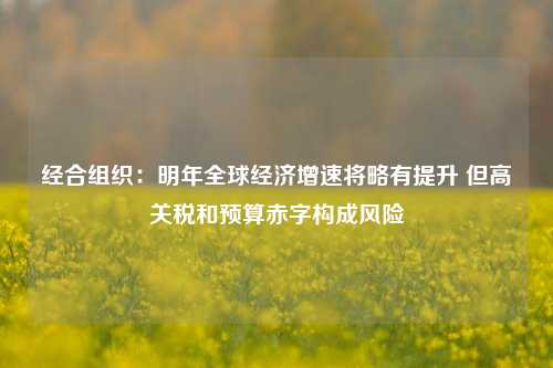 经合组织：明年全球经济增速将略有提升 但高关税和预算赤字构成风险-第1张图片-十倍杠杆-股票杠杆