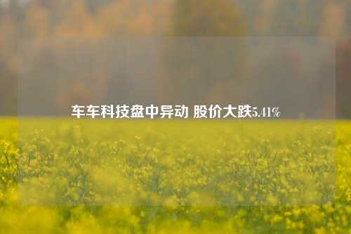 车车科技盘中异动 股价大跌5.41%-第1张图片-十倍杠杆-股票杠杆