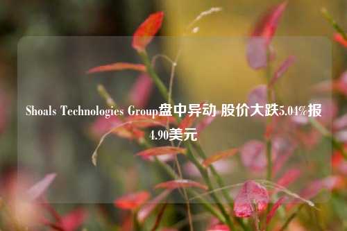 Shoals Technologies Group盘中异动 股价大跌5.04%报4.90美元-第1张图片-十倍杠杆-股票杠杆