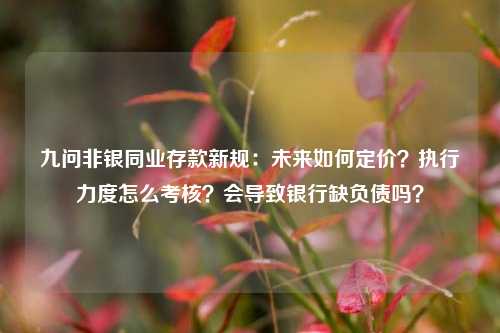 九问非银同业存款新规：未来如何定价？执行力度怎么考核？会导致银行缺负债吗？-第1张图片-十倍杠杆-股票杠杆