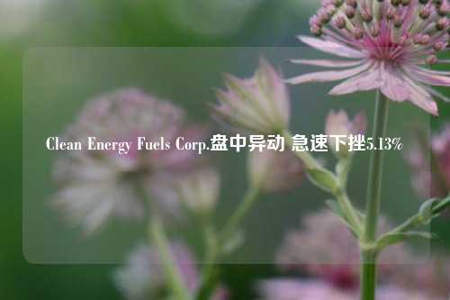 Clean Energy Fuels Corp.盘中异动 急速下挫5.13%-第1张图片-十倍杠杆-股票杠杆