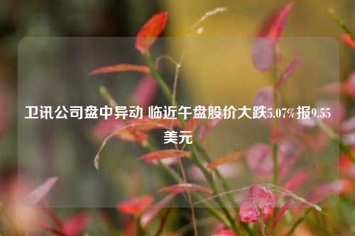 卫讯公司盘中异动 临近午盘股价大跌5.07%报9.55美元-第1张图片-十倍杠杆-股票杠杆