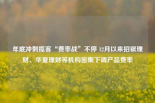 年底冲刺揽客“费率战”不停 12月以来招银理财、华夏理财等机构密集下调产品费率-第1张图片-十倍杠杆-股票杠杆