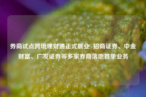 券商试点跨境理财通正式展业  招商证券、中金财富、广发证券等多家券商落地首单业务-第1张图片-十倍杠杆-股票杠杆